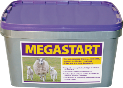 Megastart Megastart