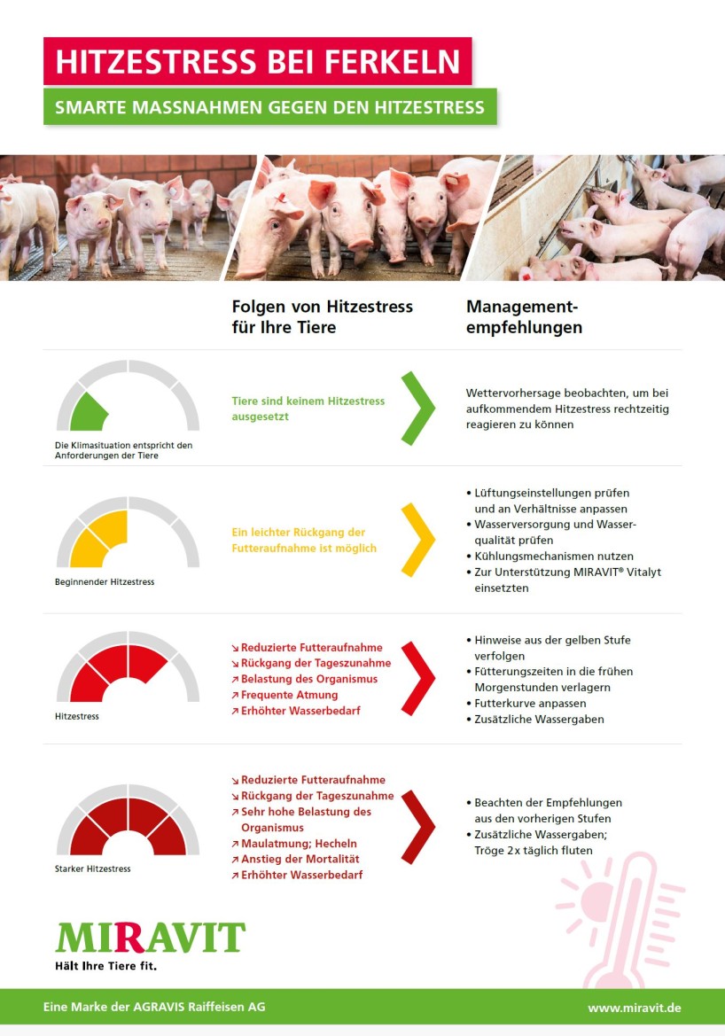 Smarte Maßnahmen gegen den Hitzestress