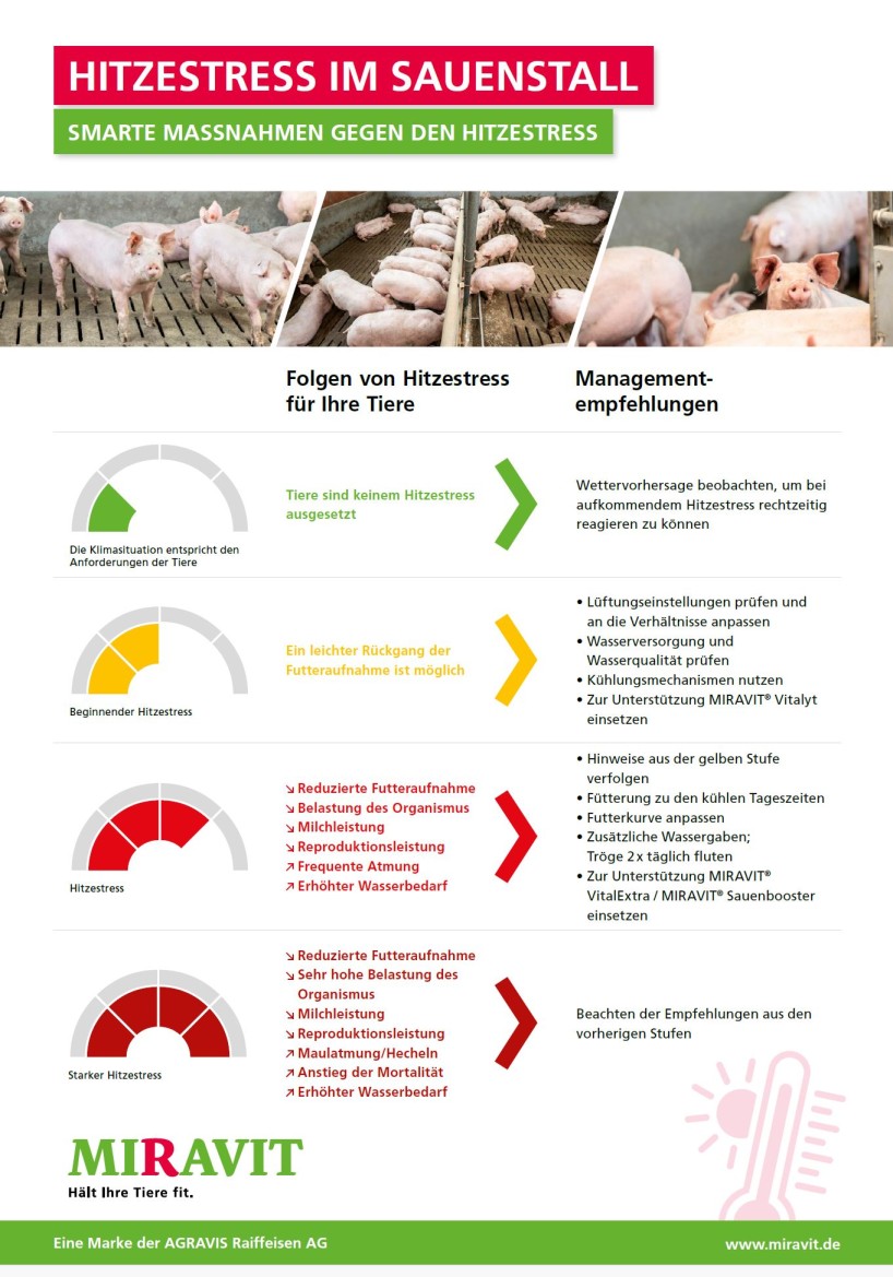 Smarte Maßnahmen gegen den Hitzestress
