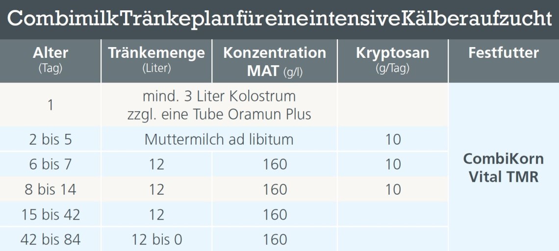 CombiMilk Tränkeplan für eine intensive Kälberaufzucht