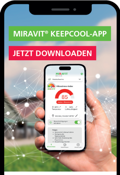 Titelbild des Flyers der KeepCool-App