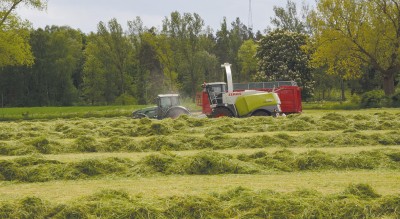 Middling silage