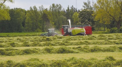 Mäßige Silage