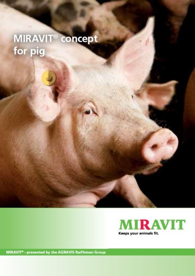 Miravit Pig flyer