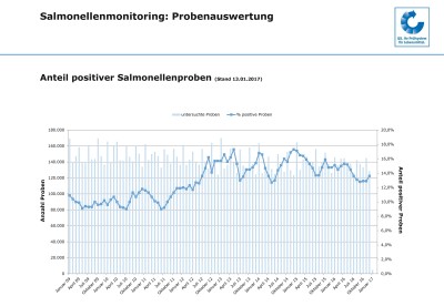 Salmonellen